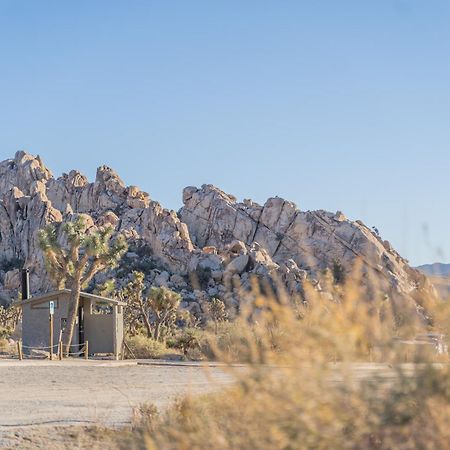New Property! The Cactus Villas At Joshua Tree National Park - Pool, Hot Tub, Outdoor Shower, Fire Pit 트웬티나인팜스 외부 사진