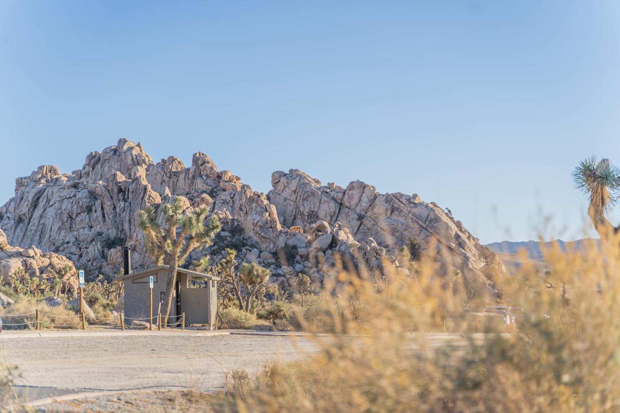 New Property! The Cactus Villas At Joshua Tree National Park - Pool, Hot Tub, Outdoor Shower, Fire Pit 트웬티나인팜스 외부 사진