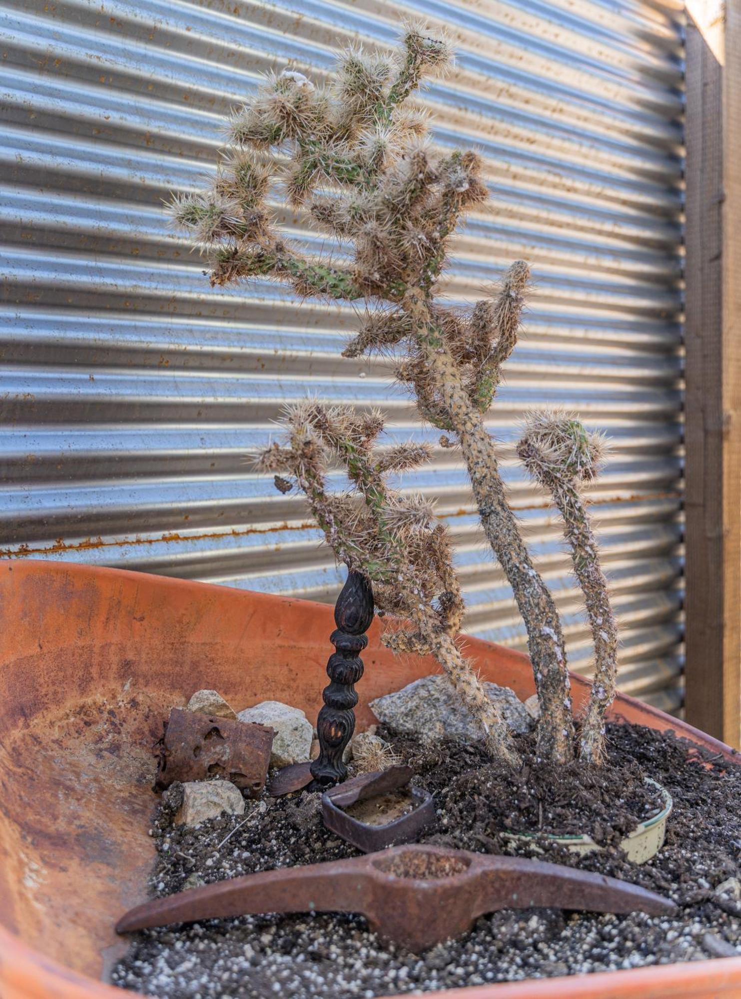 New Property! The Cactus Villas At Joshua Tree National Park - Pool, Hot Tub, Outdoor Shower, Fire Pit 트웬티나인팜스 객실 사진